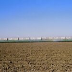 Box Cars, Guadalupe