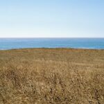 Brown Field With Ocean, San Simeon