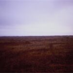 Field, San Simeon