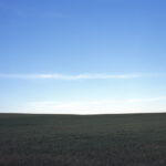 Field #17, The Palouse