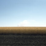 Field #18, The Palouse