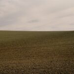 Field #2, Yolo County