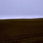 Field #3, Sunset State Beach