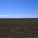 Field #7, Moss Landing