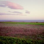 Field With Clouds, San Simeon