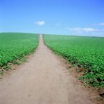 Field With One Road, Watsonville