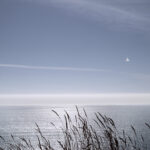 Landscape, Point Reyes