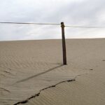 Rope Fence, Guadalupe Dunes