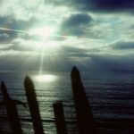 Serene, Del Mar