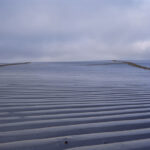 Strawberry Field #5, Marina