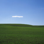 Field #14, The Palouse